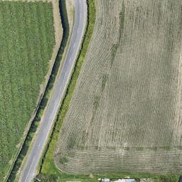 0 Seddon Street, Te Puke, TE PUKE