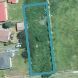 34 Brassey Street, Waverley, Waverley