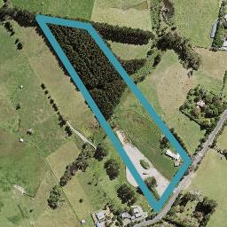 40 Cottle Road, Henderson