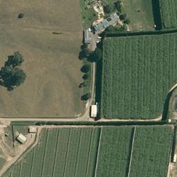 193 Pongakawa Bush Road, Pongakawa, Te Puke
