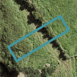41 Biokovo Street, Massey, Auckland