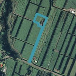 32 Mcmillan Road, Tahawai, Katikati