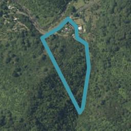 256 Tapu Coroglen Road, Tapu, Thames