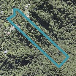 96 Opanuku Road, Henderson Valley, Auckland