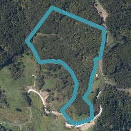 184 Pinchgut Road, Kaukapakapa, Kaukapakapa