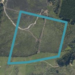0 State Highway 12, Kaikohe, Kaikohe