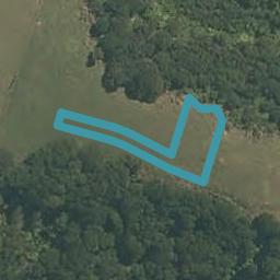 7 Libertia Lane, Orewa, Orewa