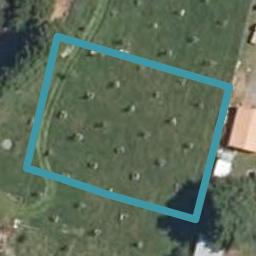 5 Murray Lane, WOODVILLE, Woodville