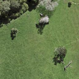 20 Te Ara Tu Para, Albany, Auckland