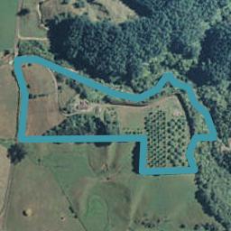 461 Tirohanga Road, Tirohanga, Opotiki