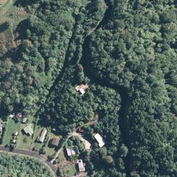 229 Pongakawa Valley Road, Rotorua