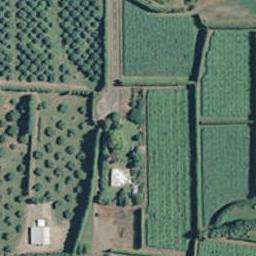 93 Armstrong Road, Waiotahe, Opotiki