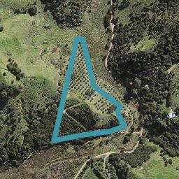 178 Awaawaroa Road, WAIHEKE ISLAND, WAIHEKE ISLAND