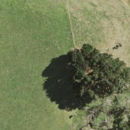 75 Pukewhau Road, Pukekohe, Pukekohe