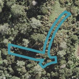 11 Pepe Lane, Fairview Heights, Auckland