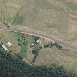 211 Brandon Hall Road, Bulls