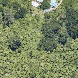 225 Fenton Street, LAKE ROTOMA, ROTORUA