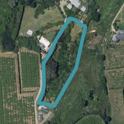 0 Thompson Road, Waiotahe, Opotiki