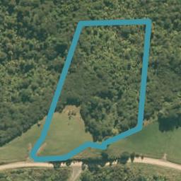 420 Moir Hill Road, Warkworth, Warkworth