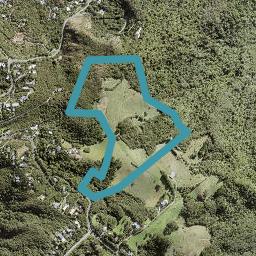 120 Piha Road, Piha, Piha