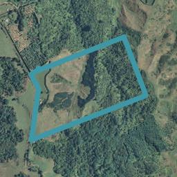 711 Tablelands Road, Tirohanga, Opotiki
