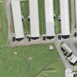 1 Whiteywood Street, Westgate, Auckland