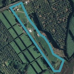 233 Athenree Road, Athenree, Katikati