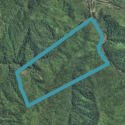 0 Te Waiti Stream Road, Toatoa, Opotiki
