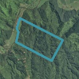 0 Tutaetoko Road, Toatoa, Opotiki