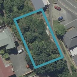 14 Lachlan Street, NORTH DUNEDIN