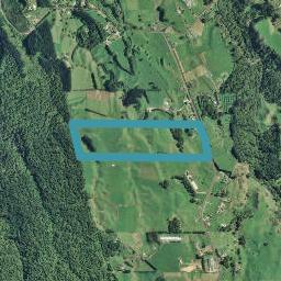 265 Glue Pot Road, Oropi, Tauranga