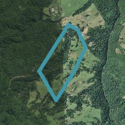 1044 Work Road, Whakamarama, Katikati