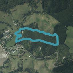 260 Colville Road, Coromandel, Coromandel