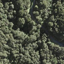 217 Lonely Track Road, Albany Heights, Auckland