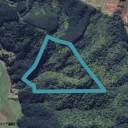 0 Tirohanga Road, Tirohanga, Opotiki