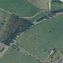 176 Link Road, Wairakei, Taupo