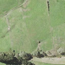 238 Clifton Road, Whitford, Whitford