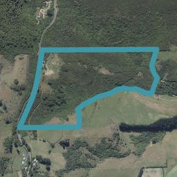 142 Mount Cargill Road, Mount Cargill, Waitati