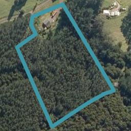 127 Mountain View Road, Hikurangi, Hikurangi