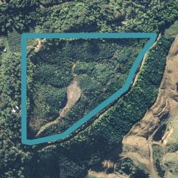 186 Mcivor Road, Rotomā, Whakatāne