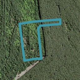 11 Uatoto Road, Clarks Beach, Clarks Beach