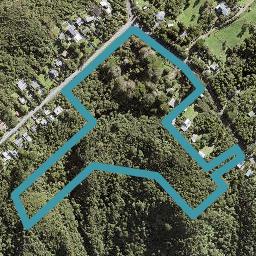 167 Piha Road, Piha, Piha