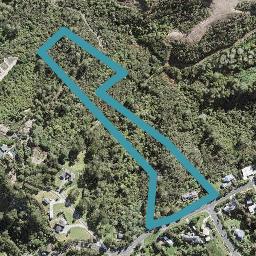 48 Lonely Track Road, Redvale, Auckland