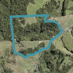 431 Peach Road, RAMARAMA, DRURY