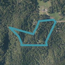 0 Black Fern Grove, Opuawhanga, Hikurangi