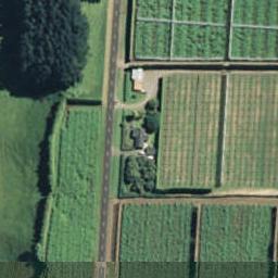 287 Maniatutu Road, Pongakawa, Te Puke