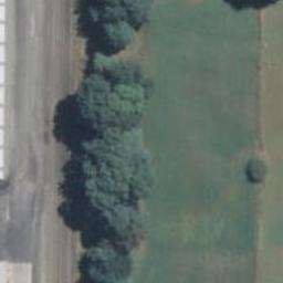 16 Tarrant Lane, TEMUKA, TEMUKA