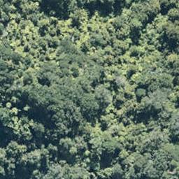 0 Maungaroa Access Road, Te Kaha, Te Kaha