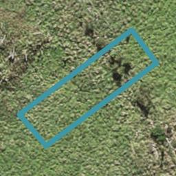 24 Porowha Road, Westgate, Auckland