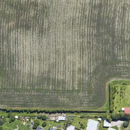 0 Seddon Street, Te Puke, TE PUKE